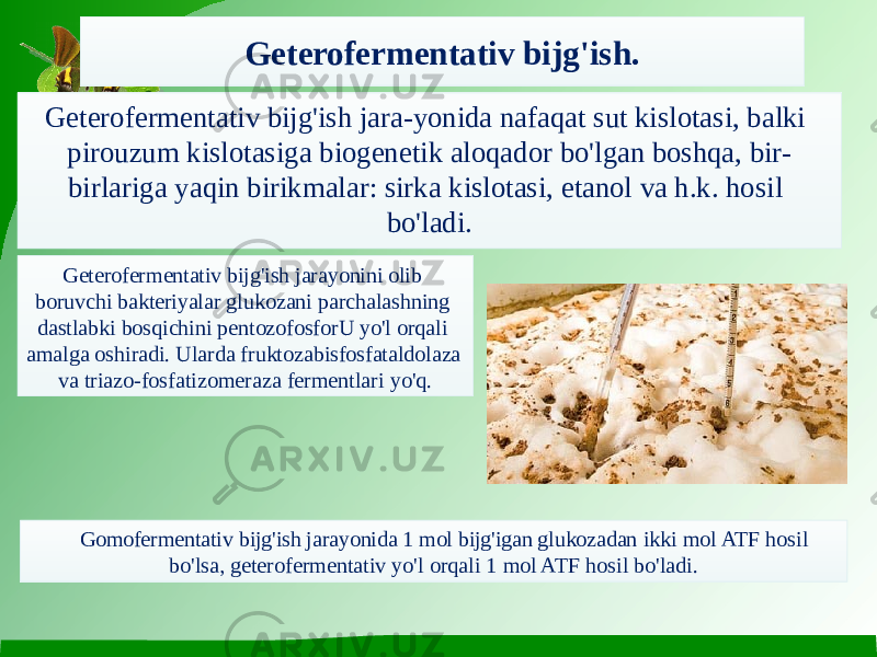 Geterofermentativ bijg&#39;ish. Geterofermentativ bijg&#39;ish jara-yonida nafaqat sut kislotasi, balki pirouzum kislotasiga biogenetik aloqador bo&#39;lgan boshqa, bir- birlariga yaqin birikmalar: sirka kislotasi, etanol va h.k. hosil bo&#39;ladi. Geterofermentativ bijg&#39;ish jarayonini olib boruvchi bakteriyalar glukozani parchalashning dastlabki bosqichini pentozofosforU yo&#39;l orqali amalga oshiradi. Ularda fruktozabisfosfataldolaza va triazo- fosfatizomeraza fermentlari yo&#39;q. Gomofermentativ bijg&#39;ish jarayonida 1 mol bijg&#39;igan glukozadan ikki mol ATF hosil bo&#39;lsa, geterofermentativ yo&#39;l orqali 1 mol ATF hosil bo&#39;ladi. 