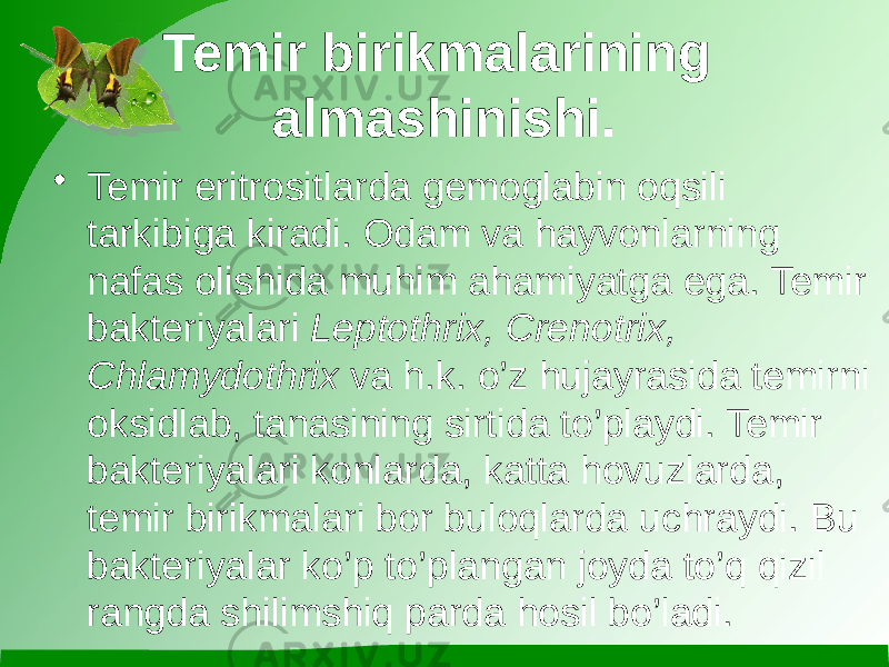 Temir birikmalarining almashinishi. • Temir eritrositlarda gemoglabin oqsili tarkibiga kiradi. Odam va hayvonlarning nafas olishida muhim ahamiyatga ega. Temir bakteriyalari Leptothrix, Crenotrix, Chlamydothrix va h.k. o’z hujayrasida temirni oksidlab, tanasining sirtida to’playdi. Temir bakteriyalari konlarda, katta hovuzlarda, temir birikmalari bor buloqlarda uchraydi. Bu bakteriyalar ko’p to’plangan joyda to’q qizil rangda shilimshiq parda hosil bo’ladi. 