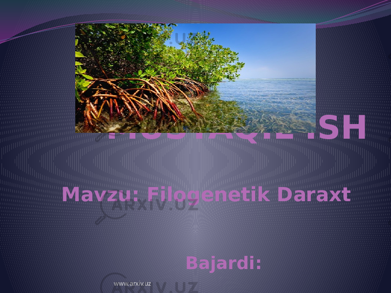 MUSTAQIL ISH Mavzu: Filogenetik Daraxt Bajardi: www.arxiv.uz 