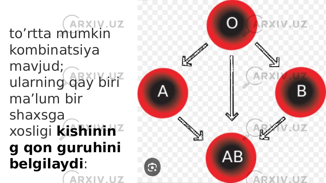 to’rtta mumkin kombinatsiya mavjud; ularning qay biri ma’lum bir shaxsga xosligi  kishinin g qon guruhini belgilaydi : 