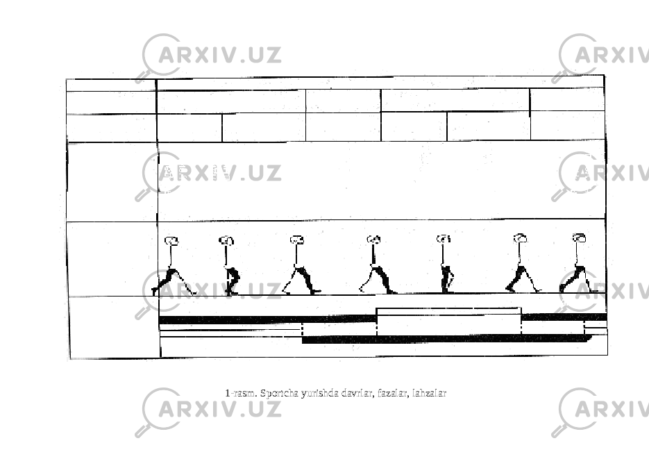 1-rasm. Sportcha yurishda davrlar, fazalar, lahzalar 