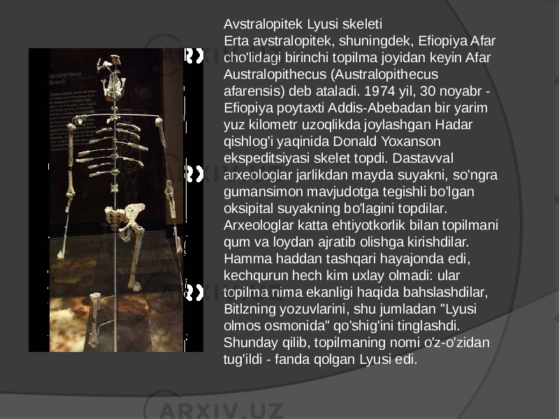 Avstralopitek Lyusi skeleti Erta avstralopitek, shuningdek, Efiopiya Afar cho&#39;lidagi birinchi topilma joyidan keyin Afar Australopithecus (Australopithecus afarensis) deb ataladi. 1974 yil, 30 noyabr - Efiopiya poytaxti Addis-Abebadan bir yarim yuz kilometr uzoqlikda joylashgan Hadar qishlog&#39;i yaqinida Donald Yoxanson ekspeditsiyasi skelet topdi. Dastavval arxeologlar jarlikdan mayda suyakni, so&#39;ngra gumansimon mavjudotga tegishli bo&#39;lgan oksipital suyakning bo&#39;lagini topdilar. Arxeologlar katta ehtiyotkorlik bilan topilmani qum va loydan ajratib olishga kirishdilar. Hamma haddan tashqari hayajonda edi, kechqurun hech kim uxlay olmadi: ular topilma nima ekanligi haqida bahslashdilar, Bitlzning yozuvlarini, shu jumladan &#34;Lyusi olmos osmonida&#34; qo&#39;shig&#39;ini tinglashdi. Shunday qilib, topilmaning nomi o&#39;z-o&#39;zidan tug&#39;ildi - fanda qolgan Lyusi edi. 