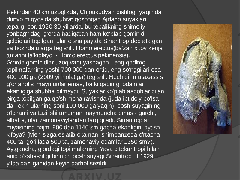 Pekindan 40 km uzoqlikda, Chjoukudyan qishlog&#39;i yaqinida dunyo miqyosida shuhrat qozongan Ajdaho suyaklari tepaligi bor. 1920-30-yillarda. bu tepalikning shimoliy yonbag&#39;ridagi g&#39;orda haqiqatan ham ko&#39;plab gominid qoldiqlari topilgan, ular o&#39;sha paytda Sinantrop deb atalgan va hozirda ularga tegishli. Homo erectus(ba&#39;zan xitoy kenja turlarini ta&#39;kidlaydi - Homo erectus pekinensis). G‘orda gominidlar uzoq vaqt yashagan - eng qadimgi topilmalarning yoshi 700 000 dan ortiq, eng so‘nggilari esa 400 000 ga (2009 yil holatiga) tegishli. Hech bir mutaxassis g&#39;or aholisi maymunlar emas, balki qadimgi odamlar ekanligiga shubha qilmaydi. Suyaklar ko&#39;plab asboblar bilan birga topilganiga qo&#39;shimcha ravishda (juda ibtidoiy bo&#39;lsa- da, lekin ularning soni 100 000 ga yaqin), bosh suyagining o&#39;lchami va tuzilishi umuman maymuncha emas - garchi, albatta, ular zamonaviylaridan farq qiladi. Sinantroplar miyasining hajmi 900 dan 1140 sm gacha ekanligini aytish kifoya? (Men sizga eslatib o&#39;taman, shimpanzeda o&#39;rtacha 400 ta, gorillada 500 ta, zamonaviy odamlar 1350 sm?). Aytgancha, g&#39;ordagi topilmalarning Yava pitekantropi bilan aniq o&#39;xshashligi birinchi bosh suyagi Sinantrop III 1929 yilda qazilganidan keyin darhol sezildi. 