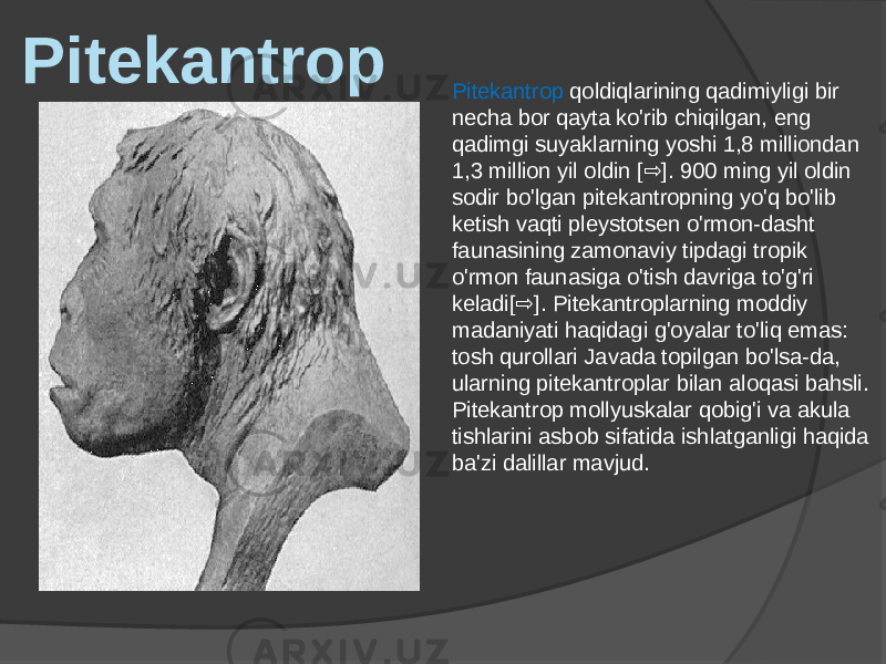 Pitekantrop qoldiqlarining qadimiyligi bir necha bor qayta ko&#39;rib chiqilgan, eng qadimgi suyaklarning yoshi 1,8 milliondan 1,3 million yil oldin [ ]. 900 ming yil oldin ⇨ sodir bo&#39;lgan pitekantropning yo&#39;q bo&#39;lib ketish vaqti pleystotsen o&#39;rmon-dasht faunasining zamonaviy tipdagi tropik o&#39;rmon faunasiga o&#39;tish davriga to&#39;g&#39;ri keladi[ ]. Pitekantroplarning moddiy ⇨ madaniyati haqidagi g&#39;oyalar to&#39;liq emas: tosh qurollari Javada topilgan bo&#39;lsa-da, ularning pitekantroplar bilan aloqasi bahsli. Pitekantrop mollyuskalar qobig&#39;i va akula tishlarini asbob sifatida ishlatganligi haqida ba&#39;zi dalillar mavjud.Pitekantrop 