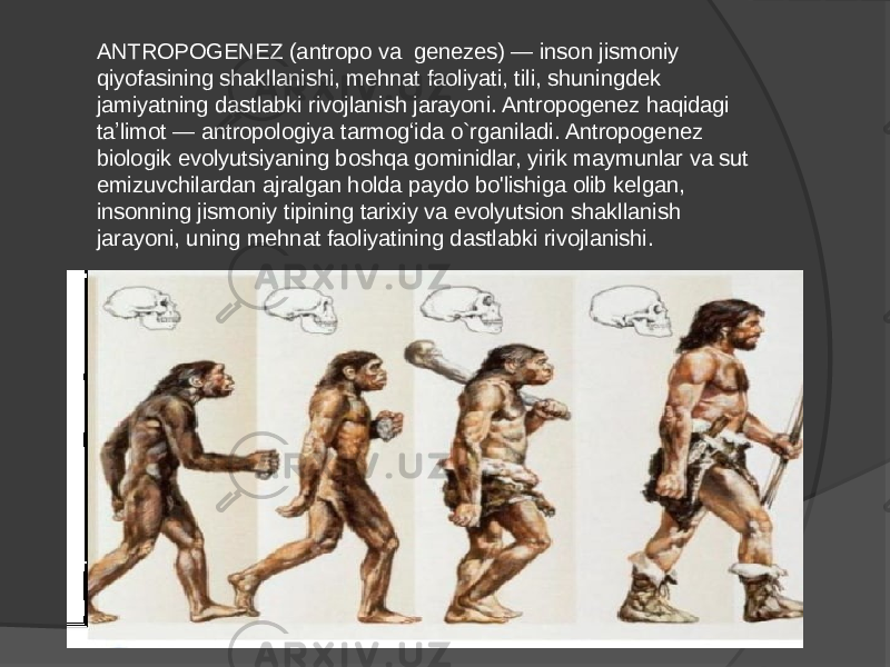 ANTROPOGENEZ (antropo va genezes) — inson jismoniy qiyofasining shakllanishi, mehnat faoliyati, tili, shuningdek jamiyatning dastlabki rivojlanish jarayoni. Antropogenez haqidagi taʼlimot — antropologiya tarmogʻida o`rganiladi. Antropogenez biologik evolyutsiyaning boshqa gominidlar, yirik maymunlar va sut emizuvchilardan ajralgan holda paydo bo&#39;lishiga olib kelgan, insonning jismoniy tipining tarixiy va evolyutsion shakllanish jarayoni, uning mehnat faoliyatining dastlabki rivojlanishi. 