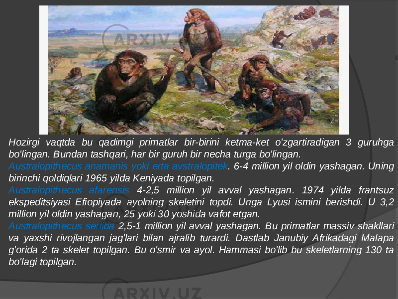 Hozirgi vaqtda bu qadimgi primatlar bir-birini ketma-ket o&#39;zgartiradigan 3 guruhga bo&#39;lingan. Bundan tashqari, har bir guruh bir necha turga bo&#39;lingan. Australopithecus anamanis yoki erta avstralopitek . 6-4 million yil oldin yashagan. Uning birinchi qoldiqlari 1965 yilda Keniyada topilgan. Australopithecus afarensis 4-2,5 million yil avval yashagan. 1974 yilda frantsuz ekspeditsiyasi Efiopiyada ayolning skeletini topdi. Unga Lyusi ismini berishdi. U 3,2 million yil oldin yashagan, 25 yoki 30 yoshida vafot etgan. Australopithecus sediba 2,5-1 million yil avval yashagan. Bu primatlar massiv shakllari va yaxshi rivojlangan jag&#39;lari bilan ajralib turardi. Dastlab Janubiy Afrikadagi Malapa g&#39;orida 2 ta skelet topilgan. Bu o&#39;smir va ayol. Hammasi bo&#39;lib bu skeletlarning 130 ta bo&#39;lagi topilgan. 