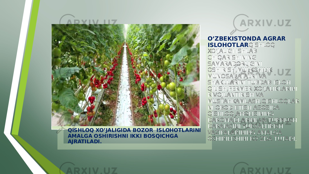 QISHLOQ XO’JALIGIDA BOZOR ISLOHOTLARINI AMALGA OSHIRISHNI IKKI BOSQICHGA AJRATILADI. O’ZBEKISTONDA AGRAR ISLOHOTLAR QISHLOQ XO’JALIGI ISHLAB CHIQARISHINING SAMARADORLIGINI OSHIRISH,MULKCHILIK MUNOSABATALRI VA SHAKLLARINI TUBDAB ISLOH QILISH,FERMER XO’JALIKLARINI RIVOJLANTIRISH VA MUSTAHKAMLASH,QISHLOQLAR NI OBOD ETISH ASOSIDA QISHLOQ AHOLISINING DAROMADLARINI VA TURMUSH DARAJASINI YUKSALTIRISH VAZIFALARINING AMALGA OSHIRILISHINI KO’ZDA TUTADI. 