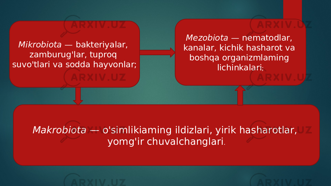 Mikrobiota  — bakteriyalar, zamburug&#39;lar, tuproq suvo&#39;tlari va sodda hayvonlar; Mezobiota  — nematodlar, kanalar, kichik hasharot va boshqa organizmlaming lichinkalari ; Makrobiota —  o&#39;simlikiaming ildizlari, yirik hasharotlar, yomg&#39;ir chuvalchanglari . 