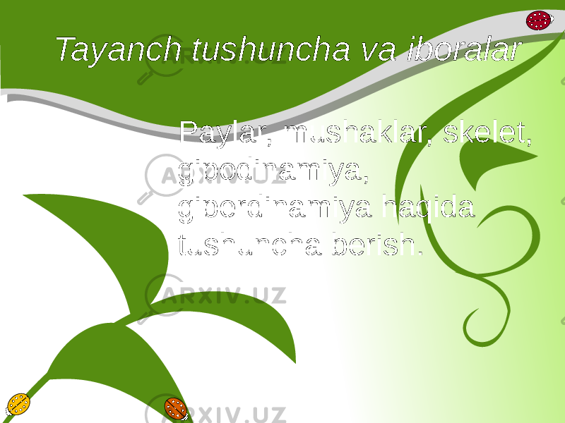 Tayanch tushuncha va iboralar Paylar, mushaklar, skelet, gipodinamiya, giperdinamiya haqida tushuncha berish. 