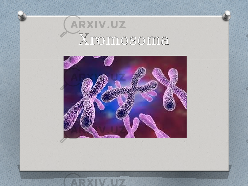 Xromosoma 