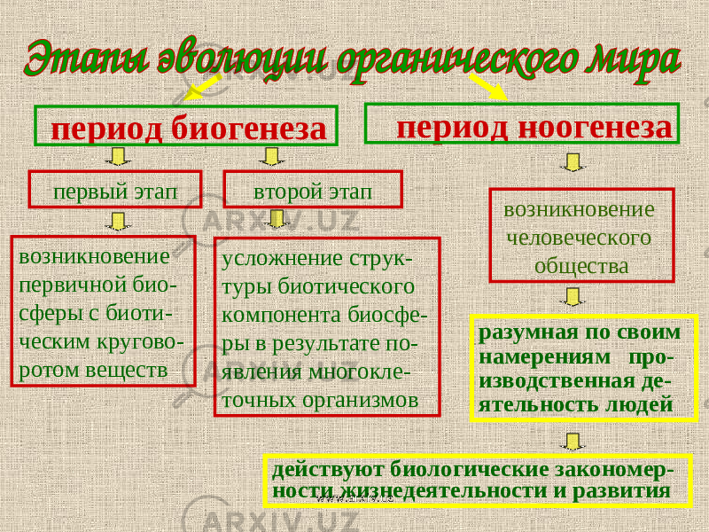 первый этаппериод биогенеза период ноогенеза возникновение первичной био- сферы с биоти- ческим кругово- ротом веществ усложнение струк- туры биотического компонента биосфе- ры в результате по- явления многокле- точных организмов возникновение человеческого обществавторой этап действуют биологические закономер- ности жизнедеятельности и развития разумная по своим намерениям про- изводственная де- ятельность людей www.arxiv.uz 