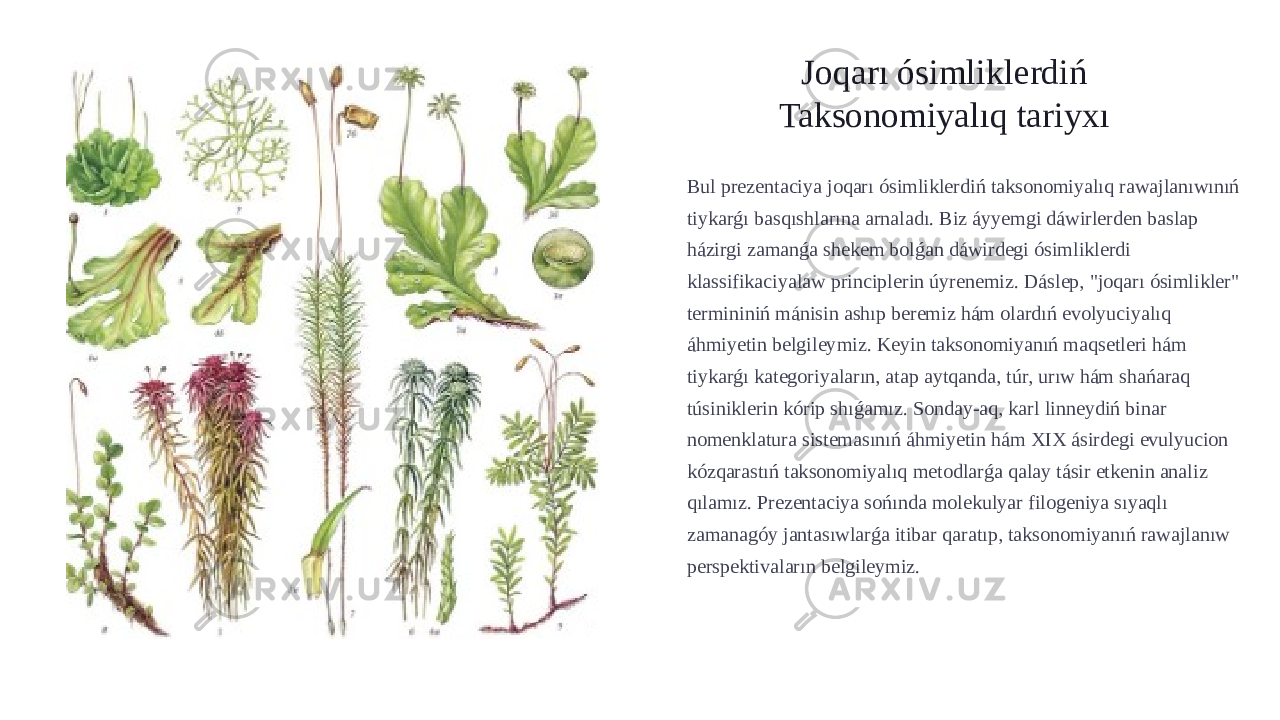 Joqarı ósimliklerdiń Taksonomiyalıq tariyxı Bul prezentaciya joqarı ósimliklerdiń taksonomiyalıq rawajlanıwınıń tiykarǵı basqıshlarına arnaladı. Biz áyyemgi dáwirlerden baslap házirgi zamanǵa shekem bolǵan dáwirdegi ósimliklerdi klassifikaciyalaw principlerin úyrenemiz. Dáslep, &#34;joqarı ósimlikler&#34; termininiń mánisin ashıp beremiz hám olardıń evolyuciyalıq áhmiyetin belgileymiz. Keyin taksonomiyanıń maqsetleri hám tiykarǵı kategoriyaların, atap aytqanda, túr, urıw hám shańaraq túsiniklerin kórip shıǵamız. Sonday-aq, karl linneydiń binar nomenklatura sistemasınıń áhmiyetin hám XIX ásirdegi evulyucion kózqarastıń taksonomiyalıq metodlarǵa qalay tásir etkenin analiz qılamız. Prezentaciya sońında molekulyar filogeniya sıyaqlı zamanagóy jantasıwlarǵa itibar qaratıp, taksonomiyanıń rawajlanıw perspektivaların belgileymiz. 