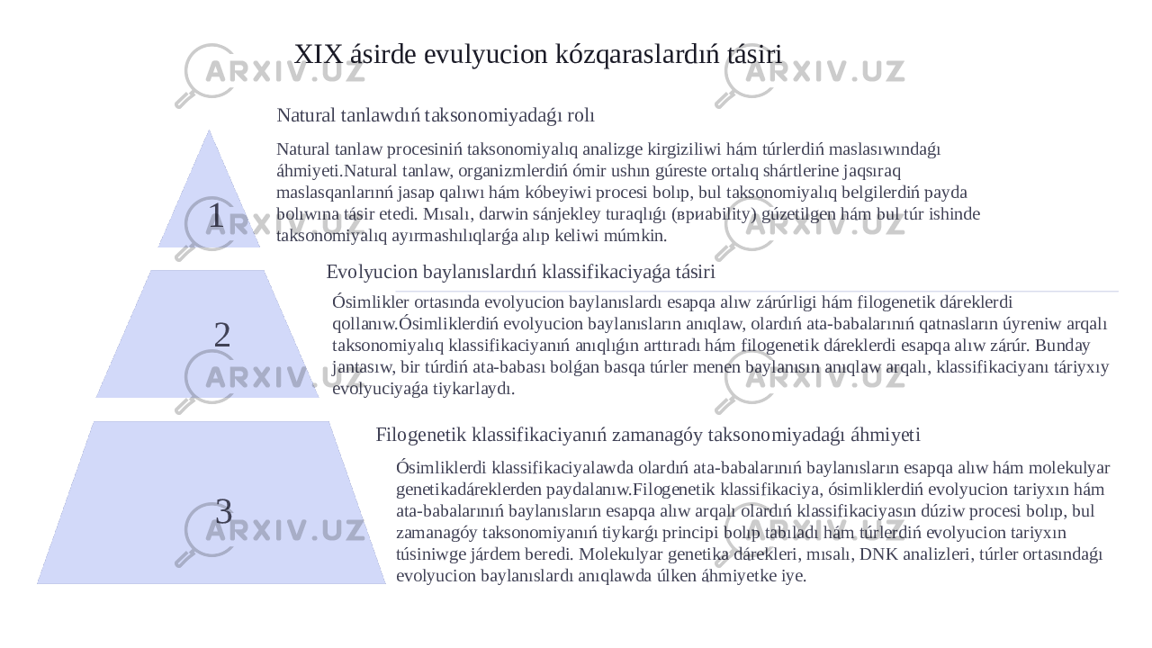 XIX ásirde evulyucion kózqaraslardıń tásiri 1 Natural tanlawdıń taksonomiyadaǵı rolı Natural tanlaw procesiniń taksonomiyalıq analizge kirgiziliwi hám túrlerdiń maslasıwındaǵı áhmiyeti.Natural tanlaw, organizmlerdiń ómir ushın gúreste ortalıq shártlerine jaqsıraq maslasqanlarınń jasap qalıwı hám kóbeyiwi procesi bolıp, bul taksonomiyalıq belgilerdiń payda bolıwına tásir etedi. Mısalı, darwin sánjekley turaqlıǵı (вриability) gúzetilgen hám bul túr ishinde taksonomiyalıq ayırmashılıqlarǵa alıp keliwi múmkin. 2 Evolyucion baylanıslardıń klassifikaciyaǵa tásiri Ósimlikler ortasında evolyucion baylanıslardı esapqa alıw zárúrligi hám filogenetik dáreklerdi qollanıw.Ósimliklerdiń evolyucion baylanısların anıqlaw, olardıń ata-babalarınıń qatnasların úyreniw arqalı taksonomiyalıq klassifikaciyanıń anıqlıǵın arttıradı hám filogenetik dáreklerdi esapqa alıw zárúr. Bunday jantasıw, bir túrdiń ata-babası bolǵan basqa túrler menen baylanısın anıqlaw arqalı, klassifikaciyanı táriyxıy evolyuciyaǵa tiykarlaydı. 3 Filogenetik klassifikaciyanıń zamanagóy taksonomiyadaǵı áhmiyeti Ósimliklerdi klassifikaciyalawda olardıń ata-babalarınıń baylanısların esapqa alıw hám molekulyar genetikadáreklerden paydalanıw.Filogenetik klassifikaciya, ósimliklerdiń evolyucion tariyxın hám ata-babalarınıń baylanısların esapqa alıw arqalı olardıń klassifikaciyasın dúziw procesi bolıp, bul zamanagóy taksonomiyanıń tiykarǵı principi bolıp tabıladı hám túrlerdiń evolyucion tariyxın túsiniwge járdem beredi. Molekulyar genetika dárekleri, mısalı, DNK analizleri, túrler ortasındaǵı evolyucion baylanıslardı anıqlawda úlken áhmiyetke iye. 