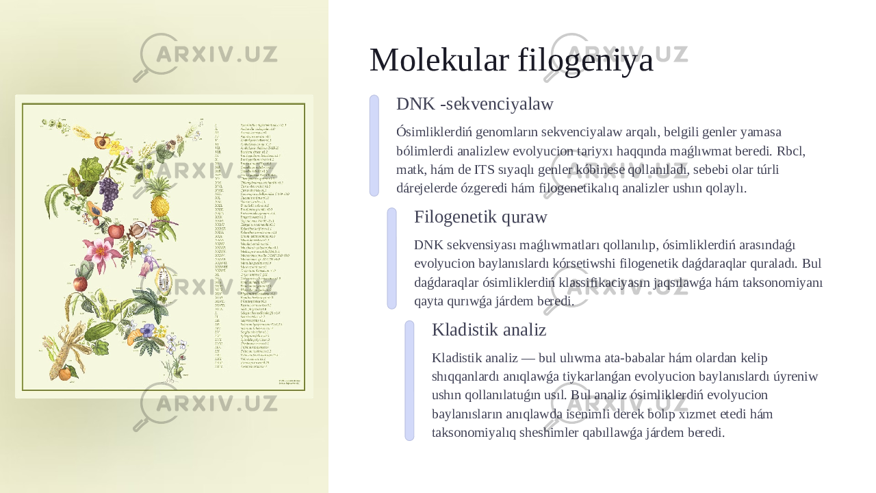 Molekular filogeniya DNK -sekvenciyalaw Ósimliklerdiń genomların sekvenciyalaw arqalı, belgili genler yamasa bólimlerdi analizlew evolyucion tariyxı haqqında maǵlıwmat beredi. Rbcl, matk, hám de ITS sıyaqlı genler kóbinese qollanıladı, sebebi olar túrli dárejelerde ózgeredi hám filogenetikalıq analizler ushın qolaylı. Filogenetik quraw DNK sekvensiyası maǵlıwmatları qollanılıp, ósimliklerdiń arasındaǵı evolyucion baylanıslardı kórsetiwshi filogenetik daǵdaraqlar quraladı. Bul daǵdaraqlar ósimliklerdiń klassifikaciyasın jaqsılawǵa hám taksonomiyanı qayta qurıwǵa járdem beredi. Kladistik analiz Kladistik analiz — bul ulıwma ata-babalar hám olardan kelip shıqqanlardı anıqlawǵa tiykarlanǵan evolyucion baylanıslardı úyreniw ushın qollanılatuǵın usıl. Bul analiz ósimliklerdiń evolyucion baylanısların anıqlawda isenimli derek bolıp xızmet etedi hám taksonomiyalıq sheshimler qabıllawǵa járdem beredi. 