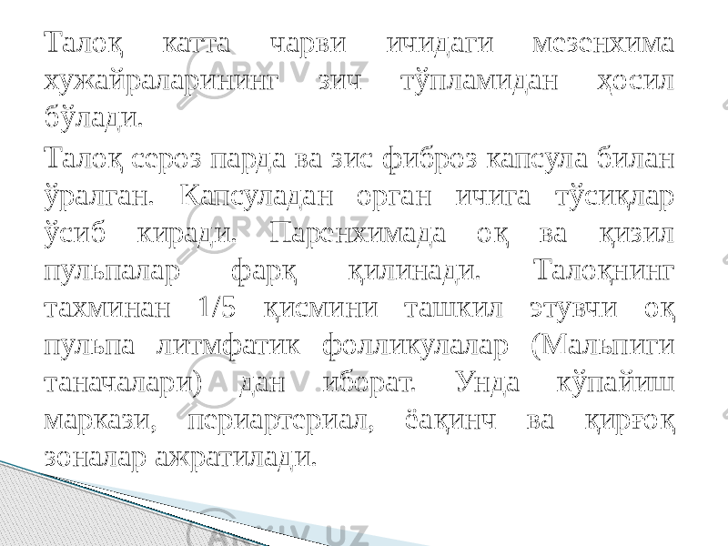 Талоқ катта чарви ичидаги мезенхима хужайраларининг зич тўпламидан ҳосил бўлади. Талоқ сероз парда ва зис фиброз капсула билан ўралган. Капсуладан орган ичига тўсиқлар ўсиб киради. Паренхимада оқ ва қизил пульпалар фарқ қилинади. Талоқнинг тахминан 1/5 қисмини ташкил этувчи оқ пульпа литмфатик фолликулалар (Мальпиги таначалари) дан иборат. Унда кўпайиш маркази, периартериал, ёақинч ва қирғоқ зоналар ажратилади. 