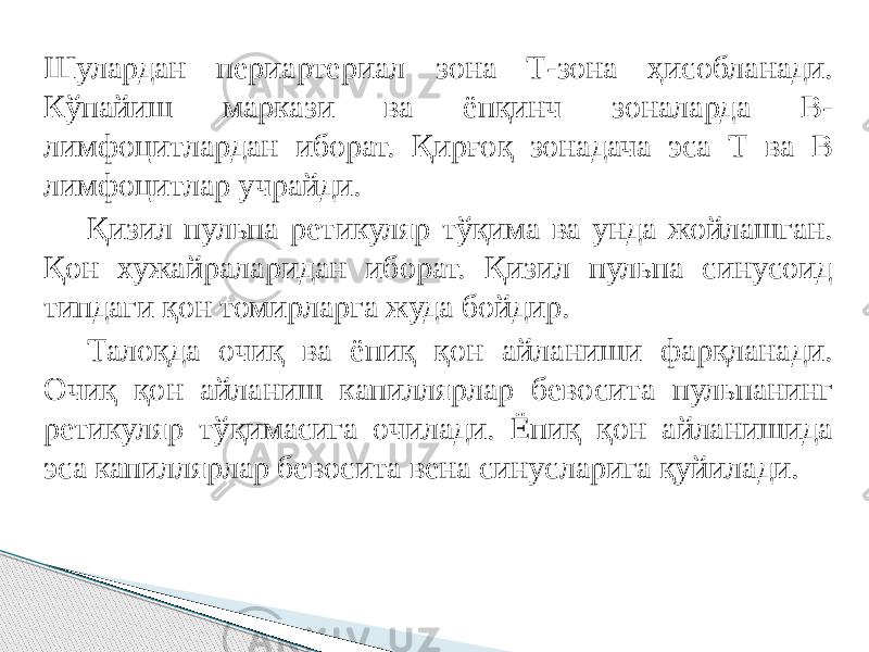 Шулардан периартериал зона Т-зона ҳисобланади. Кўпайиш маркази ва ёпқинч зоналарда В- лимфоцитлардан иборат. Қирғоқ зонадача эса Т ва В лимфоцитлар учрайди. Қизил пульпа ретикуляр тўқима ва унда жойлашган. Қон хужайраларидан иборат. Қизил пульпа синусоид типдаги қон томирларга жуда бойдир. Талоқда очиқ ва ёпиқ қон айланиши фарқланади. Очиқ қон айланиш капиллярлар бевосита пульпанинг ретикуляр тўқимасига очилади. Ёпиқ қон айланишида эса капиллярлар бевосита вена синусларига қуйилади. 