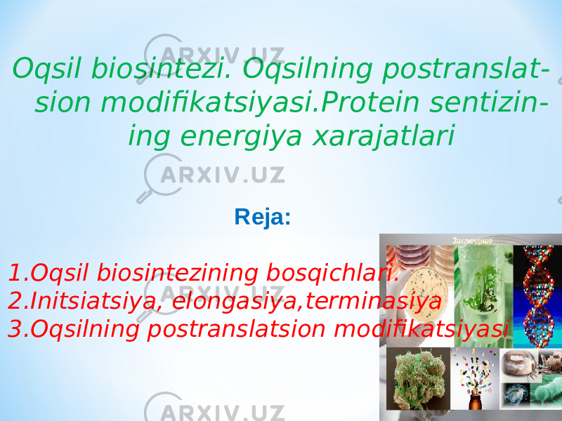 Oqsil biosintezi. Oqsilning postranslat - sion modifikatsiyasi.Protein sentizin - ing energiya xarajatlari Reja: 1. Oqsil biosintezining bosqichlari. 2. Initsiatsiya, elongasiya,terminasiya 3. Oqsilning postranslatsion modifikatsiyasi 