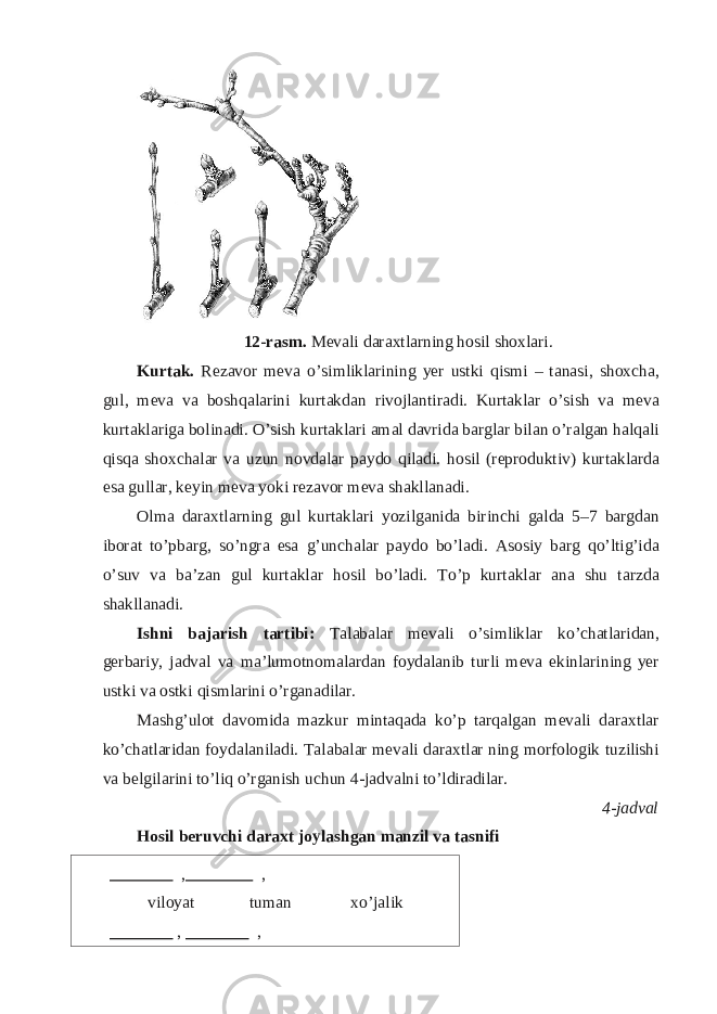 12-rasm. Mevali daraxtlarning hosil shoxlari. Kurtak. Rezavor meva o’simliklarining yer ustki qismi – tanasi, shoxcha, gul, meva va boshqalarini kurtakdan rivojlantiradi. Kurtaklar o’sish va meva kurtaklariga bolinadi. O’sish kurtaklari amal davrida barglar bilan o’ralgan halqali qisqa shoxchalar va uzun novdalar paydo qiladi. hosil (reproduktiv) kurtaklarda esa gullar, keyin meva yoki rezavor meva shakllanadi. Olma daraxtlarning gul kurtaklari yozilganida birinchi galda 5–7 bargdan iborat to’pbarg, so’ngra esa g’unchalar paydo bo’ladi. Asosiy barg qo’ltig’ida o’suv va ba’zan gul kurtaklar hosil bo’ladi. To’p kurtaklar ana shu tarzda shakllanadi. Ishni bajarish tartibi: Talabalar mevali o’simliklar ko’chatlaridan, gerbariy, jadval va ma’lumotnomalardan foydalanib turli meva ekinlarining yer ustki va ostki qismlarini o’rganadilar. Mashg’ulot davomida mazkur mintaqada ko’p tarqalgan mevali daraxtlar ko’chatlaridan foydalaniladi. Talabalar mevali daraxtlar ning morfologik tuzilishi va belgilarini to’liq o’rganish uchun 4-jadvalni to’ldiradilar. 4-jadval Hosil beruvchi daraxt joylashgan manzil va tasnifi , , viloyat tuman xo’jalik , , 