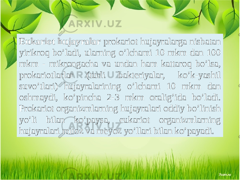 Eukariot hujayralar prokariot hujayralarga nisbatan yirikroq bo’ladi, ularning o’lchami 10 mkm dan 100 mkm - mikrongacha va undan ham kattaroq bo’lsa, prokariotlarlar (turli baktеriyalar, ko’k-yashil suvo’tlari) hujayralarining o’lchami 10 mkm dan oshmaydi, ko’pincha 2-3 mkm oralig’ida bo’ladi. Prokariot organizmlarning hujayralari oddiy bo’linish yo’li bilan ko’paysa, eukariot organizmlarning hujayralari mitoz va mеyoz yo’llari bilan ko’payadi. 