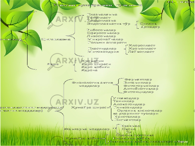 4.1. - илова Ўсимлик хужайраси ни тузилиши Плазмалемма Тонопласт Гиолоплазма Эндоплазматик тўр Силлиқ Донадор Рибосомалар Сферосомалар Лизосомалар 1.Протопласт Цитоплазма Микронайчалар Гольжи аппарати Хлоропласт Пластидалар Хромопласт Митохондрия Лейкопласт Хроматин Ядро Ядро шираси Ядро қобиғи Ядроча Ферментлар Физиологик актив Витаминлар моддалар Фитогормонлар Антибиотиклар Фитонцидлар Углеводлар Танинла р Алокогоидлар 2. Протопластнинг маҳ сулоти Ҳужайра шираси Гликозидлар (Эргастик моддалар) Органик кисло талар ва уларнинг тузлари Кристаллар Пигментлар Крахмал Жамғарма моддалар Оқсил Ёғ Оралиқ пластика Ҳужайра қобиғи Бирламчи қобиқ Иккиламчи қобиқ, плазмодесмлар 
