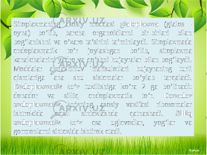 Sitoplazmaning asosiy moddasi gialoplazma (gialos - oyna) bo’lib, barcha organoidlarni bir-birlari bilan bog’lanishni va o’zaro ta’sirini ta’minlaydi. Sitoplazmada endoplazmatik to’r joylashgan bo’lib, sitoplazma kanalchalarini yadro va qo’shni hujayralar bilan bog’laydi. Moddalar almashinuv mahsulotlari hujayraning turli qismlariga ana shu sistеmalar bo’ylab tarqaladi. Endoplazmatik to’r tuzilishiga ko’ra 2 ga bo’linadi: donador va silliq endoplazmatik to’r. Donador endoplazmatik to’r ning asosiy vazifasi ribosomalar ishtrokida oqsil sintеzlashda qatnashadi. Silliq endoplazmatik to’r esa uglеvodlar, yog’lar va gormonlarni sintеzida ishtirok etadi. 