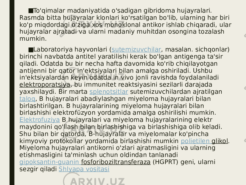 ■ To&#39;qimalar madaniyatida o&#39;sadigan gibridoma hujayralari. Rasmda bitta hujayralar klonlari ko&#39;rsatilgan bo&#39;lib, ularning har biri ko&#39;p miqdordagi o&#39;ziga xos monoklonal antikor ishlab chiqaradi, ular hujayralar ajratadi va ularni madaniy muhitdan osongina tozalash mumkin. ■ Laboratoriya hayvonlari ( sutemizuvchilar , masalan. sichqonlar) birinchi navbatda antitel yaratilishi kerak bo&#39;lgan antigenga ta&#39;sir qiladi. Odatda bu bir necha hafta davomida ko&#39;rib chiqilayotgan antijenni bir qator in&#39;ektsiyalari bilan amalga oshiriladi. Ushbu in&#39;ektsiyalardan keyin odatda in vivo jonli ravishda foydalaniladi  elektroporatsiya , bu immunitet reaktsiyasini sezilarli darajada yaxshilaydi. Bir marta  splenotsitlar  sutemizuvchilardan ajratilgan  taloq , B hujayralari abadiylashgan miyeloma hujayralari bilan birlashtirilgan. B hujayralarining miyeloma hujayralari bilan birlashishi elektrofüzyon yordamida amalga oshirilishi mumkin.  Elektrofuziya  B hujayralari va miyeloma hujayralarining elektr maydonini qo&#39;llash bilan birlashishiga va birlashishiga olib keladi. Shu bilan bir qatorda, B-hujayralar va miyelomalar ko&#39;pincha kimyoviy protokollar yordamida birlashishi mumkin  polietilen glikol . Miyeloma hujayralari antikorni o&#39;zlari ajratmasligini va ularning etishmasligini ta&#39;minlash uchun oldindan tanlanadi  gipoksantin-guanin fosforiboziltransferaza  (HGPRT) geni, ularni sezgir qiladi  Shlyapa vositasi 