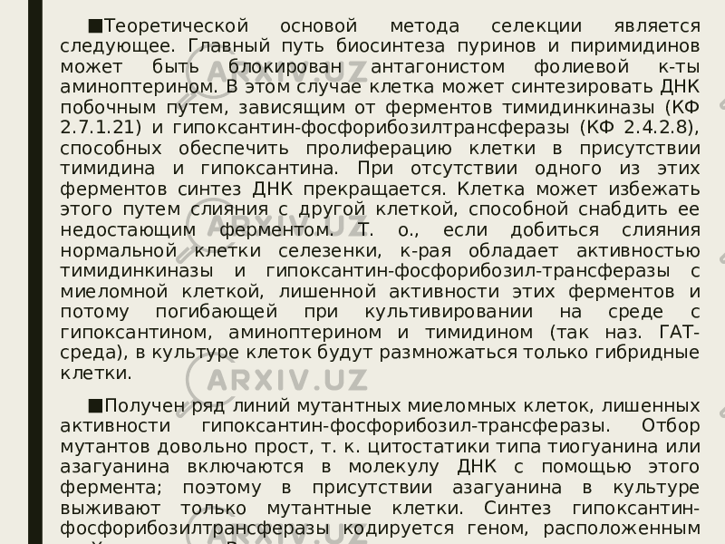 ■ Теоретической основой метода селекции является следующее. Главный путь биосинтеза пуринов и пиримидинов может быть блокирован антагонистом фолиевой к-ты аминоптерином. В этом случае клетка может синтезировать ДНК побочным путем, зависящим от ферментов тимидинкиназы (КФ 2.7.1.21) и гипоксантин-фосфорибозилтрансферазы (КФ 2.4.2.8), способных обеспечить пролиферацию клетки в присутствии тимидина и гипоксантина. При отсутствии одного из этих ферментов синтез ДНК прекращается. Клетка может избежать этого путем слияния с другой клеткой, способной снабдить ее недостающим ферментом. Т. о., если добиться слияния нормальной клетки селезенки, к-рая обладает активностью тимидинкиназы и гипоксантин-фосфорибозил-трансферазы с миеломной клеткой, лишенной активности этих ферментов и потому погибающей при культивировании на среде с гипоксантином, аминоптерином и тимидином (так наз. ГАТ- среда), в культуре клеток будут размножаться только гибридные клетки. ■ Получен ряд линий мутантных миеломных клеток, лишенных активности гипоксантин-фосфорибозил-трансферазы. Отбор мутантов довольно прост, т. к. цитостатики типа тиогуанина или азагуанина включаются в молекулу ДНК с помощью этого фермента; поэтому в присутствии азагуанина в культуре выживают только мутантные клетки. Синтез гипоксантин- фосфорибозилтрансферазы кодируется геном, расположенным на Х-хромосоме. В клетках млекопитающих активна только одна Х-хромосома, поэтому единственной мутации достаточно для полного прекращения синтеза фермента. Отобрать клетки- мутанты, лишенные тимидинкиназы, существенно сложнее, т. к. для этого требуется наличие двух редких мутаций одновременно. 