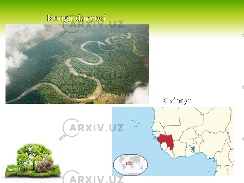 Kongo daryosi Gvineya 
