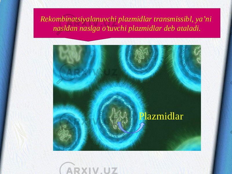 PlazmidlarRekombinatsiyalanuvchi plazmidlar transmissibl, ya’ni nasldan naslga o’tuvchi plazmidlar deb ataladi. 