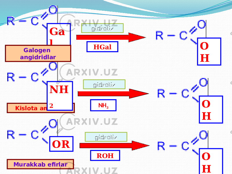 Ga l Galogen angidridlar Kislota amidlari Murakkab efirlar NH 2 OR gidrolizgidroliz gidroliz O H O H O HHGal NH 3 ROH 