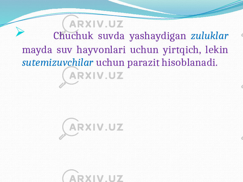   Chuchuk suvda yashaydigan zuluklar mayda suv hayvonlari uchun yirtqich, lekin sutemizuvchilar uchun parazit hisoblanadi. 