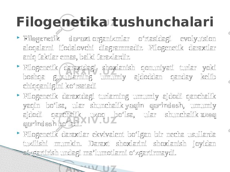  Filogenetik daraxt  organizmlar oʻrtasidagi evolyutsion aloqalarni ifodalovchi diagrammadir. Filogenetik daraxtlar aniq faktlar emas, balki farazlardir.  Filogenetik daraxtdagi shoxlanish qonuniyati turlar yoki boshqa guruhlarning umumiy ajdoddan qanday kelib chiqqanligini koʻrsatadi  Filogenetik daraxtdagi turlarning umumiy ajdodi qanchalik yaqin boʻlsa, ular shunchalik  yaqin qarindosh , umumiy ajdodi qanchalik uzoq boʻlsa, ular shunchalik  uzoq qarindosh  boʻladi.  Filogenetik daraxtlar ekvivalent boʻlgan bir necha usullarda tuzilishi mumkin. Daraxt shoxlarini shoxlanish joyidan oʻzgartirish undagi maʼlumotlarni oʻzgartirmaydi.Filogenetika tushunchalari 