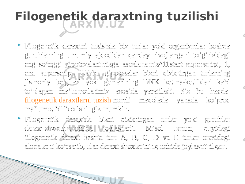  Filogenetik daraxtni tuzishda biz turlar yoki organizmlar boshqa guruhlarning umumiy ajdodidan qanday rivojlangani toʻgʻrisidagi eng soʻnggi gipotezalarimizga asoslanamiz^11start superscript, 1, end superscript. Ushbu gipotezalar bizni qiziqtirgan turlarning jismoniy belgilari yoki genlarining DNK ketma-ketliklari kabi toʻplagan maʼlumotlarimiz asosida yaratiladi. Siz bu haqda  filogenetik daraxtlarni tuzish  nomli maqolada yanada koʻproq maʼlumot bilib olishingiz mumkin.  Filogenetik daraxtda bizni qiziqtirgan turlar yoki guruhlar daraxt  shoxlari  uchida joylashadi. Misol uchun, quyidagi filogenetik daraxt beshta tur: A, B, C, D va E turlar orasidagi aloqalarni koʻrsatib, ular daraxt shoxlarining uchida joylashtirilgan.Filogenetik daraxtning tuzilishi 