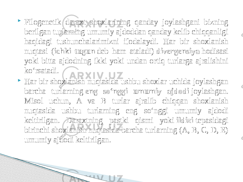  Filogenetik daraxt shoxlarining qanday joylashgani bizning berilgan turlarning umumiy ajdoddan qanday kelib chiqqanligi haqidagi tushunchalarimizni ifodalaydi. Har bir shoxlanish nuqtasi ( ichki tugun  deb ham ataladi)  divergensiya  hodisasi yoki bitta ajdodning ikki yoki undan ortiq turlarga ajralishini koʻrsatadi.  Har bir shoxlanish nuqtasida ushbu shoxlar uchida joylashgan barcha turlarning  eng soʻnggi umumiy ajdodi  joylashgan. Misol uchun, A va B turlar ajralib chiqqan shoxlanish nuqtasida ushbu turlarning eng soʻnggi umumiy ajdodi keltirilgan. Daraxtning pastki qismi yoki  ildizi  tepasidagi birinchi shoxlanish nuqtasida barcha turlarning (A, B, C, D, E) umumiy ajdodi keltirilgan. 