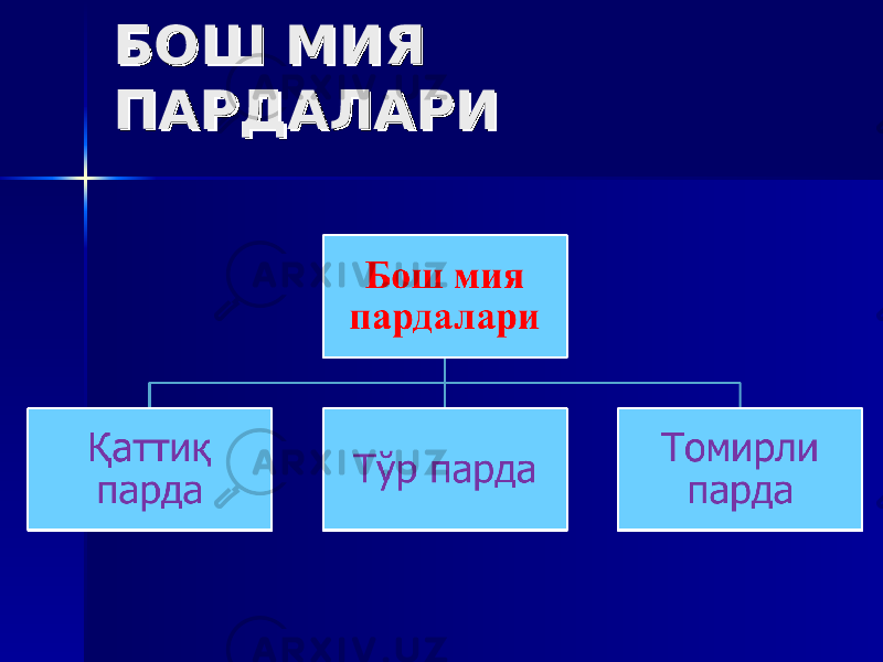 БОШ МИЯ БОШ МИЯ ПАРДАЛАРИПАРДАЛАРИ 