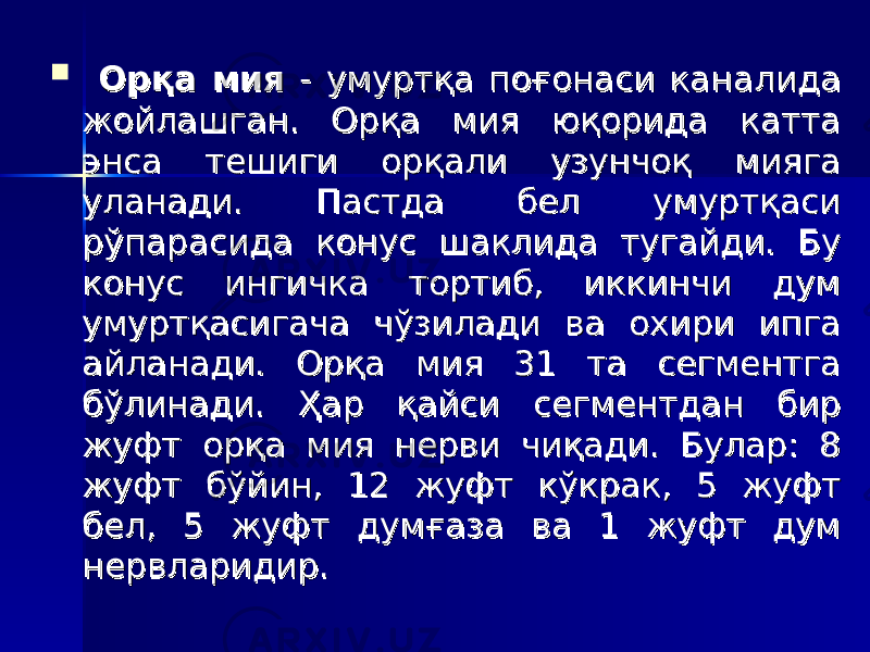   Орқа мияОрқа мия - - умуртқа поғонаси каумуртқа поғонаси ка налнал ида ида жойлашган. Орқа мия юқорида катта жойлашган. Орқа мия юқорида катта энса тешиги орқали узунчоқ мияга энса тешиги орқали узунчоқ мияга уланади. Пастда бел умуртқаси уланади. Пастда бел умуртқаси рўпарасида рўпарасида кк онус шаклида тугайди. Бу онус шаклида тугайди. Бу кк онус ингичка тортиб, иккинчи дум онус ингичка тортиб, иккинчи дум умуртқасигача чўзилади ва охири ипга умуртқасигача чўзилади ва охири ипга айланади. Орқа мия 31 та сегментга айланади. Орқа мия 31 та сегментга бўлинади. бўлинади. ҲҲ ар қайси сегментдан бир ар қайси сегментдан бир жуфт орқа мия нерви чиқади. Булар: 8 жуфт орқа мия нерви чиқади. Булар: 8 жуфт бўйин, 12 жуфт кўкрак, 5 жуфт жуфт бўйин, 12 жуфт кўкрак, 5 жуфт бел, 5 жуфт думғаза ва 1 жуфт дум бел, 5 жуфт думғаза ва 1 жуфт дум нервларидир. нервларидир. 