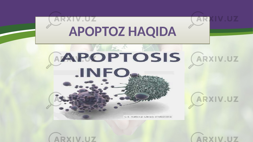 APOPTOZ HAQIDA01 