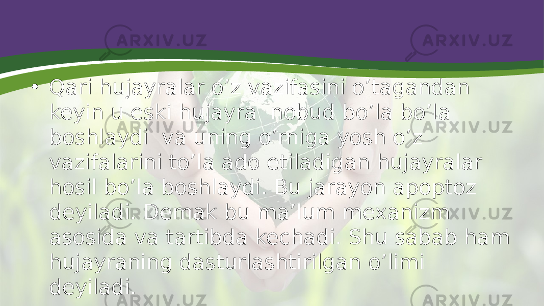 • Qari hujayralar o’z vazifasini o’tagandan keyin u eski hujayra  nobud bo’la bo’la boshlaydi  va uning o’rniga yosh o’z vazifalarini to’la ado etiladigan hujayralar hosil bo’la boshlaydi. Bu jarayon apoptoz deyiladi. Demak bu ma’lum mexanizm asosida va tartibda kechadi. Shu sabab ham hujayraning dasturlashtirilgan o’limi deyiladi. 