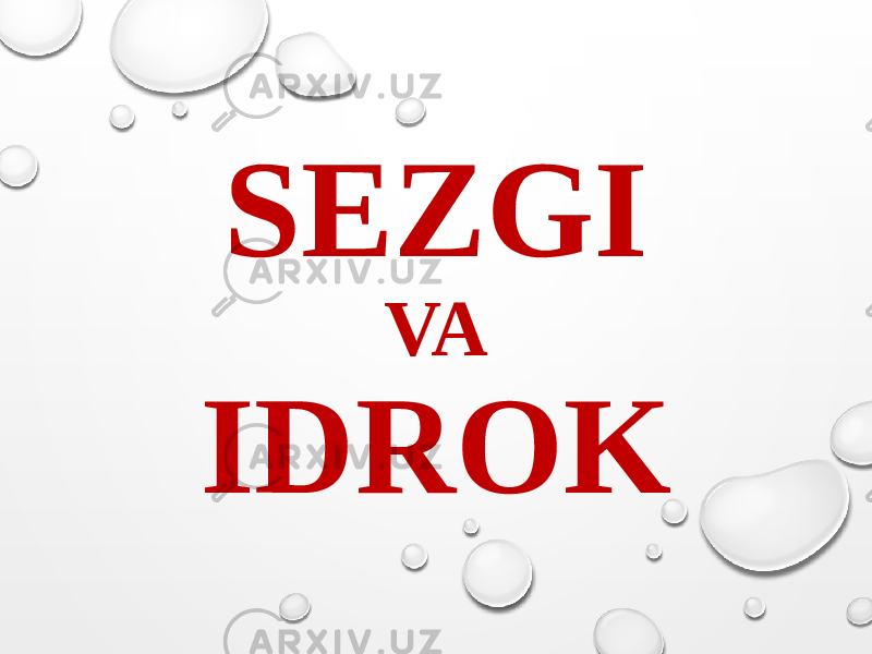 SEZGI VA IDROK 