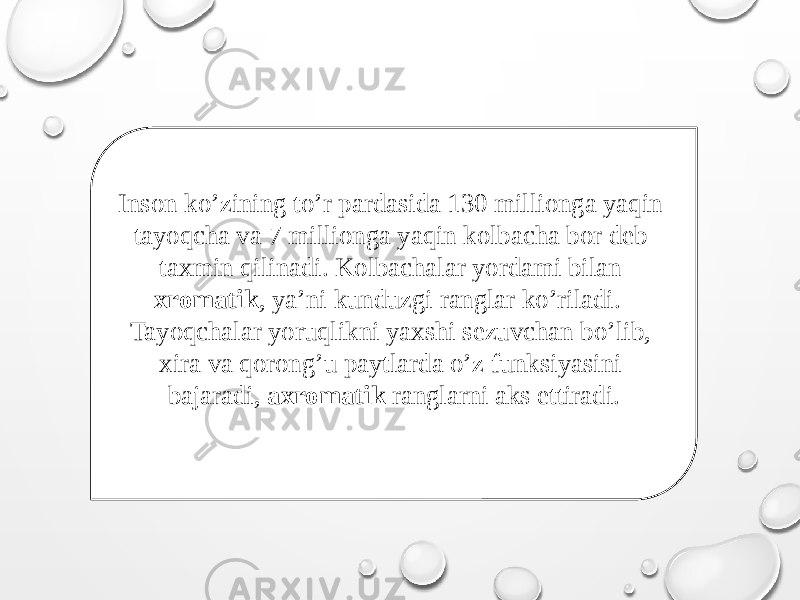 Inson ko’zining to’r pardasida 130 millionga yaqin tayoqcha va 7 millionga yaqin kolbacha bor deb taxmin qilinadi. Kolbachalar yordami bilan xromatik , ya’ni kunduzgi ranglar ko’riladi. Tayoqchalar yoruqlikni yaxshi sezuvchan bo’lib, xira va qorong’u paytlarda o’z funksiyasini bajaradi, axromatik ranglarni aks ettiradi. 270C0D 02 02 2C14 1C0B1601 26 1706 1301 132C14 0B0301 