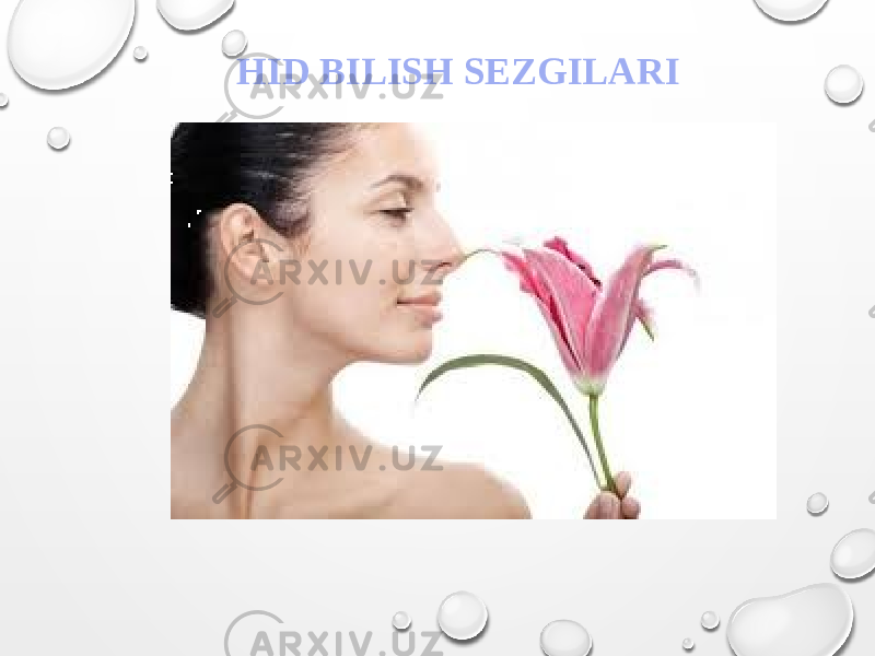 HID BILISH SEZGILARI 