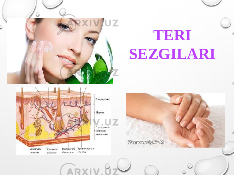 TERI SEZGILARI 