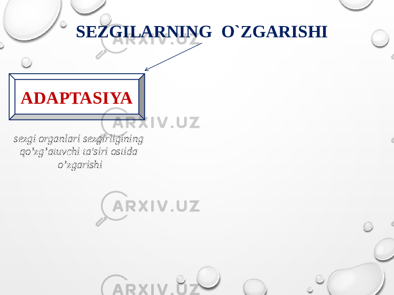 SEZGILARNING O`ZGARISHI sezgi organlari sezgirligining qo’zg’atuvchi ta&#39;siri ostida o’zgarishi ADAPTASIYA 