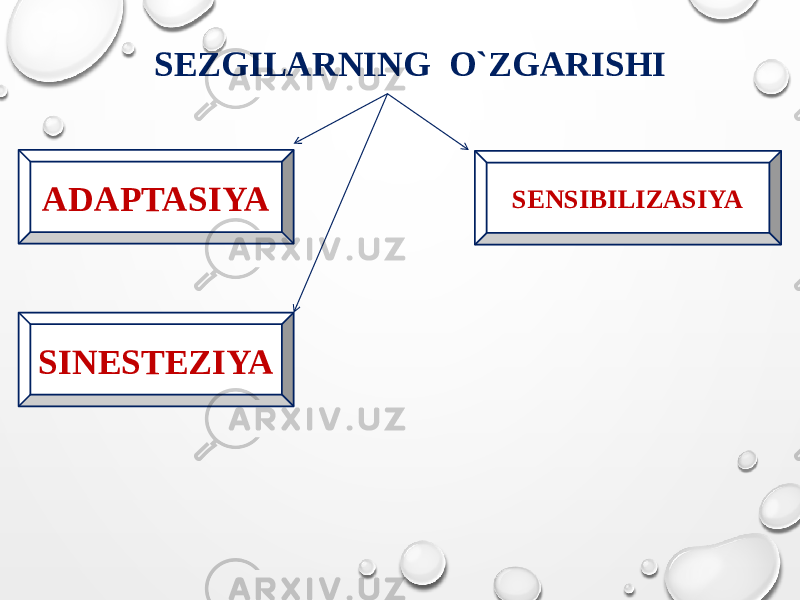 SEZGILARNING O`ZGARISHI ADAPTASIYA SENSIBILIZASIYA SINESTEZIYA 