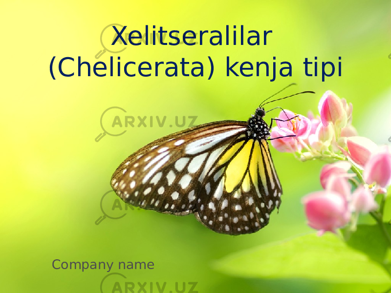 Xelitseralilar (Chelicerata) kenja tipi Company name 