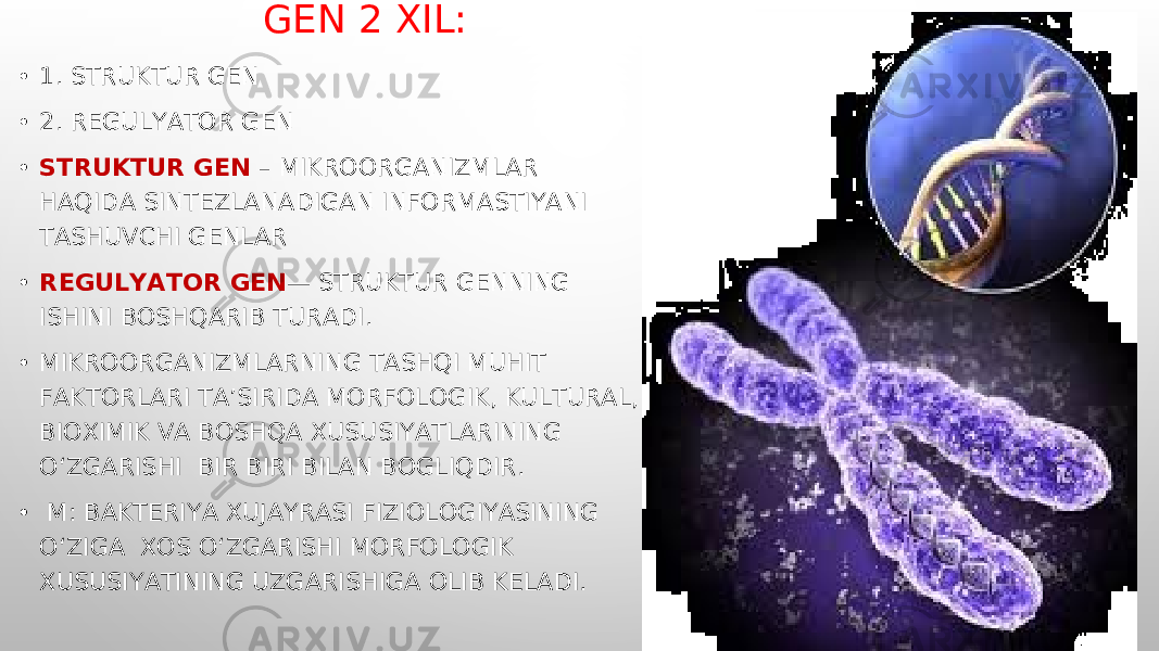 GEN 2 XIL: • 1. STRUKTUR GEN • 2. REGULYATOR GEN • STRUKTUR GEN – MIKROORGANIZMLAR HAQIDA SINTEZLANADIGAN INFORMASTIYANI TASHUVCHI GENLAR • REGULYATOR GEN — STRUKTUR GENNING ISHINI BOSHQARIB TURADI. • MIKROORGANIZMLARNING TASHQI MUHIT FAKTORLARI TA’SIRIDA MORFOLOGIK, KULTURAL, BIOXIMIK VA BOSHQA XUSUSIYATLARINING O‘ZGARISHI BIR BIRI BILAN BOGLIQDIR. • M: BAKTERIYA XUJAYRASI FIZIOLOGIYASINING O‘ZIGA XOS O‘ZGARISHI MORFOLOGIK XUSUSIYATINING UZGARISHIGA OLIB KELADI. 