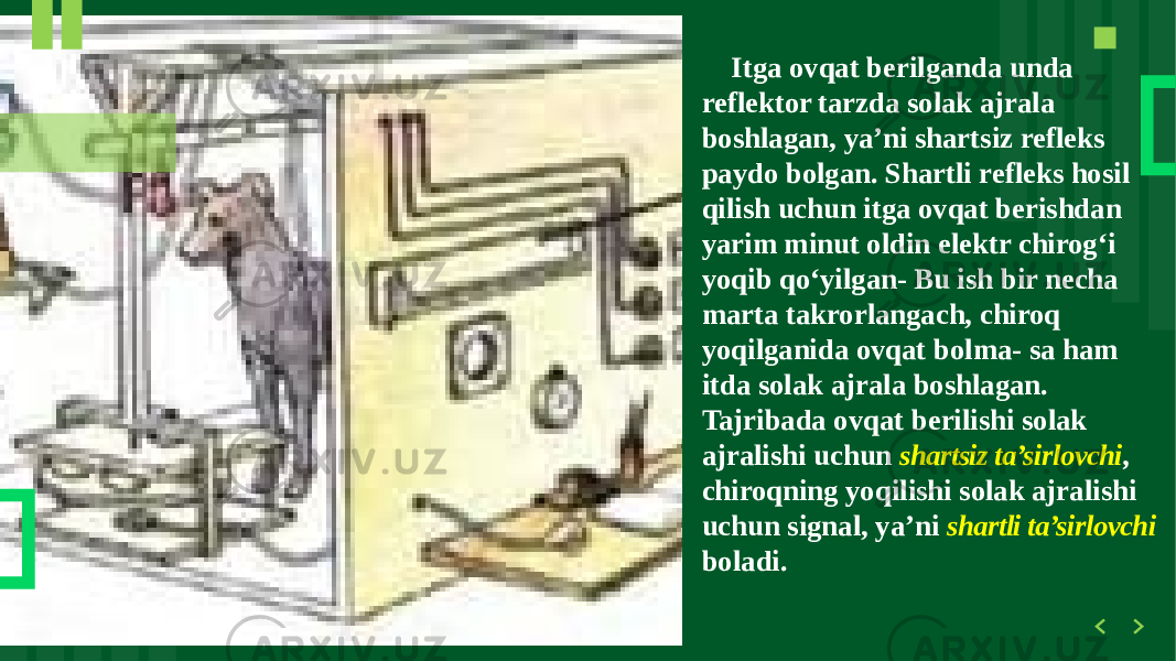  Itga ovqat berilganda unda reflektor tarzda solak ajrala boshlagan, ya’ni shartsiz refleks paydo bolgan. Shartli refleks hosil qilish uchun itga ovqat berishdan yarim minut oldin elektr chirog‘i yoqib qo‘yilgan- Bu ish bir necha marta takrorlangach, chiroq yoqilganida ovqat bolma- sa ham itda solak ajrala boshlagan. Tajribada ovqat berilishi solak ajralishi uchun shartsiz ta’sirlovchi , chiroqning yoqilishi solak ajralishi uchun signal, ya’ni shartli ta’sirlovchi boladi. 