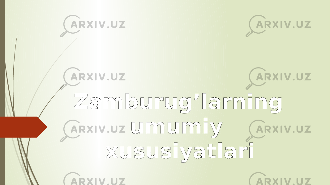 Zamburug’larning umumiy xususiyatlari 