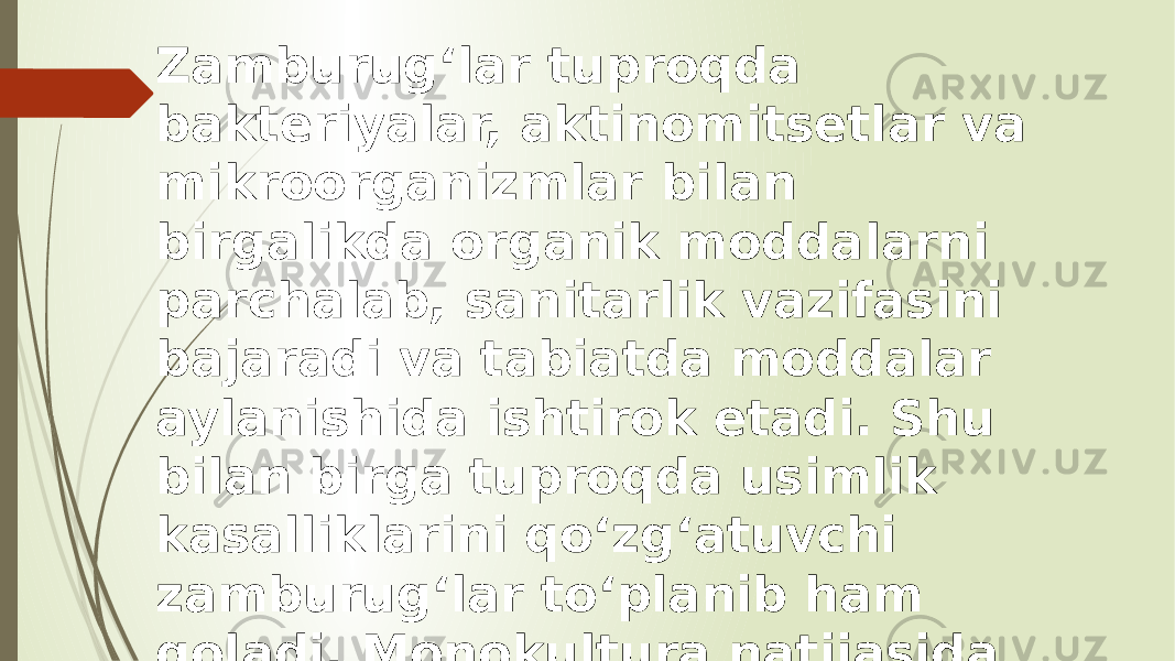 Zamburugʻlar tuproqda bakteriyalar, aktinomitsetlar va mikroorganizmlar bilan birgalikda organik moddalarni parchalab, sanitarlik vazifasini bajaradi va tabiatda moddalar aylanishida ishtirok etadi. Shu bilan birga tuproqda usimlik kasalliklarini qoʻzgʻatuvchi zamburugʻlar toʻplanib ham qoladi. Monokultura natijasida oʻsimliklarning maʼlum turlarigagina ixtisoslashgan zamburugʻlar yigʻiladi. 