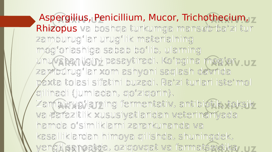  Aspergilius, Penicillium, Mucor, Trichothecium, Rhizopus va boshqa turkumga mansub baʼzi tur zamburugʻlar urugʻlik materialning mogʻorlashiga sabab boʻlib, ularning unuvchanligini pasaytiradi. Koʻpgina mogʻor zamburugʻlar xom ashyoni saqlash davrida paxta tolasi sifatini buzadi. Baʼzi turlari isteʼmol qilinadi (jumladan, qoʻziqorin). Zamburugʻlarning fermentativ, antibiotik, toksik va parazitlik xususiyatlaridan veterinariyada hamda oʻsimliklarni zararkunanda va kasalliklardan himoya qilishda, shuningdek, yengil sanoatda, oziqovqat va farmatsevtika sanoatida foydalaniladi 